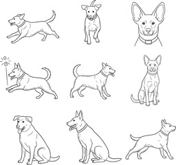 Collection of dog line art poses isolated on white background