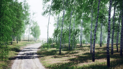 Obraz premium A peaceful dirt path stretches through a vibrant birch forest bathed in soft morning light. Fresh green leaves glisten, inviting exploration and tranquility in natures embrace.