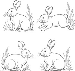 Four line art rabbits in various poses isolated on white background