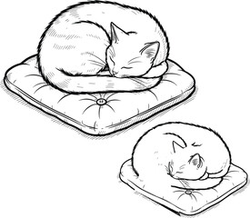 Two sleeping cats curled on cushions isolated on white background