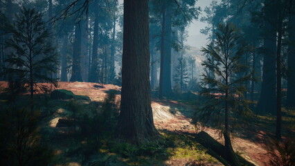 Fototapeta premium In a peaceful forest, sunlight breaks through the tall tree canopy, casting gentle light on the lush ground below. The scene is quiet, inviting exploration and reflection in nature.