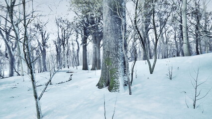 A serene view of a winter forest, with tall trees blanketed in fresh snow. Soft light filters through the branches, creating a magical atmosphere in the tranquil landscape.