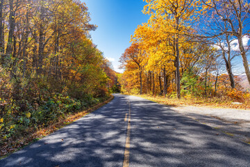 Peaceful countryside asphalt road in autumn colors, Blue Ridge Parkway, Virginia