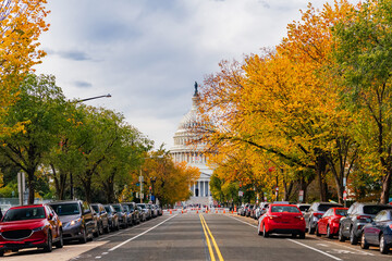Obraz premium Washington DC Capitol framed by golden autumn leaves