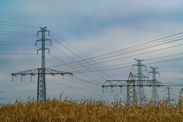 Electricity pylons and high-voltage power lines above a dry cornfield under cloudy sky. Concept of energy distribution, infrastructure, and rural landscape