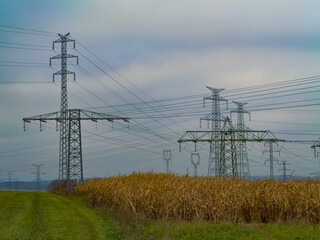 High-voltage power lines and pylons crossing a rural landscape with cornfield under cloudy sky. Concept of energy infrastructure, electricity transmission, and countryside industry