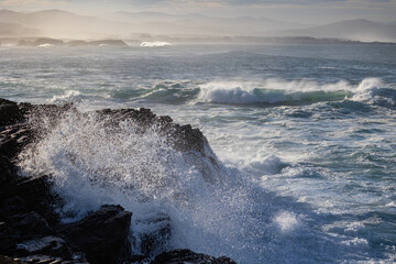 Photographing big waves, birds flying at sea, and the almost full moon!
