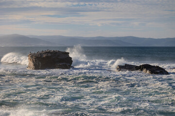 Photographing big waves, birds flying at sea, and the almost full moon!