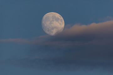 Photographing big waves, birds flying at sea, and the almost full moon!