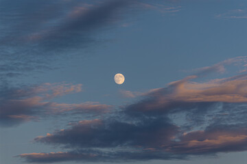 Photographing big waves, birds flying at sea, and the almost full moon!