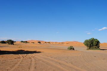 Desert landscape with mountains and a beautiful blue sky