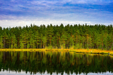 Pine Forest Reflected in Serene Lake Under Cloudy Sky