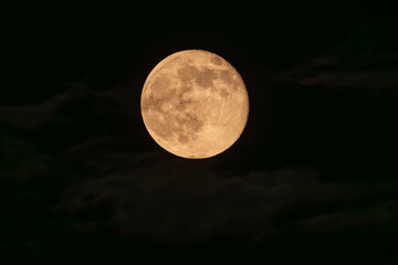 full moon in the sky