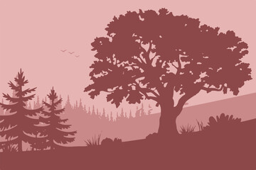 tree and hillside silhouette landscape with conifer forest behind