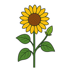 Fototapeta premium Cute Cartoon Sunflower Plant Illustration Isolated.