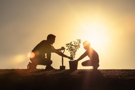 Silhouette of a parent and child planting a tree at sunset, symbolizing family, nature, and environmental care.