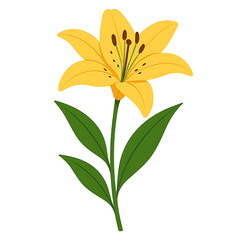 Elegant yellow lily flower with green stem and leaves.