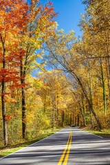 Obraz premium a ride in the fall through the forest