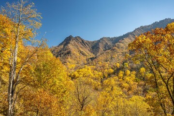Great Smoky Mountain National Park