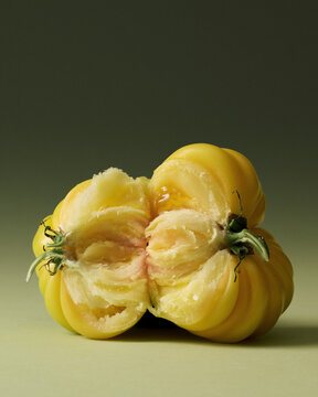 Yellow Heirloom Torn Tomatoes Painterly Still Life on Green Seamless background. Film grain