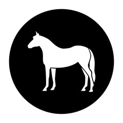 black and white illustration of horse icon