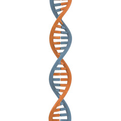 Intertwined Blue And Orange DNA Double Helix Strand Molecule Structure Isolated On Black Background With No Text