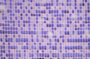 Close up of Abstract Textured Background