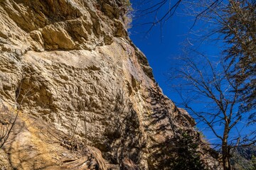 Alum Cave Trail