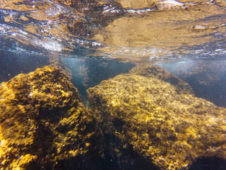 An underwater view of large, algae-covered rocks on the seabed, with the shimmering sea surface visible from below.