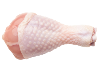 Fresh raw chicken drumstick, uncooked poultry meat ready for cooking