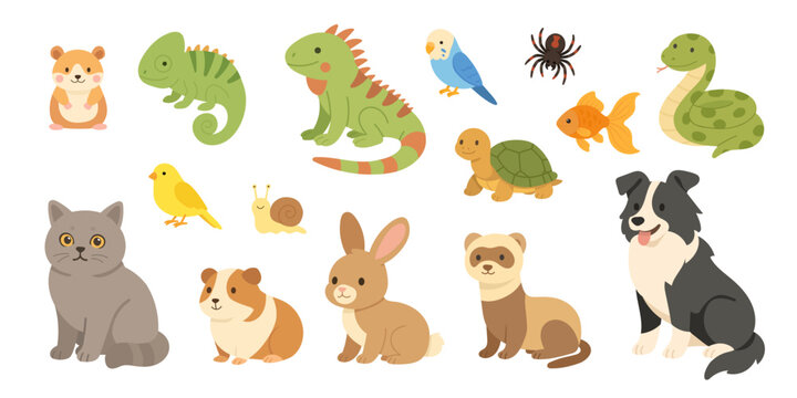 colorful collection of pet animals, bright flat illustrations of various pets and reptiles, vivid icons representing small pet animals and reptiles in playful style