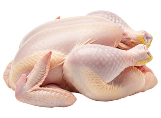 Fresh whole raw chicken, ready for cooking or meal preparation