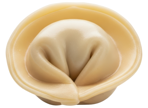 Perfectly cooked single dumpling featuring a smooth, light colored dough, ready for a meal