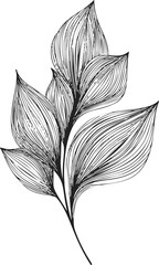 Leaf branch sketch, hand drawn line art with detailed veins and organic shape &mdash; stock vector