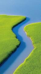 Vibrant Green River Delta From Above With Branching Waterways Creating Organic Patterns Under Natural Sunlight