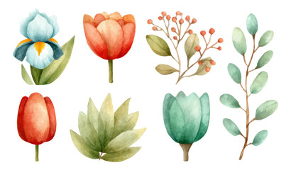 Watercolor Floral Collection with Various Flowers and Leaves on Transparent Background