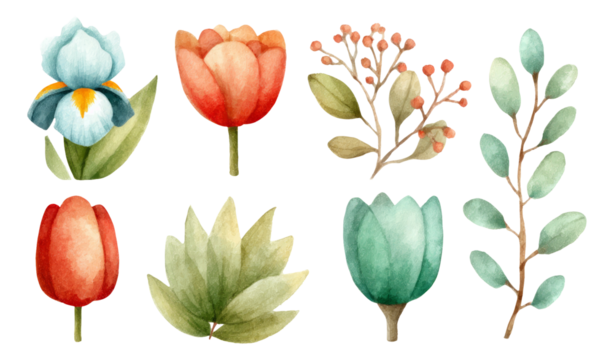 Watercolor Floral Collection with Various Flowers and Leaves on Transparent Background