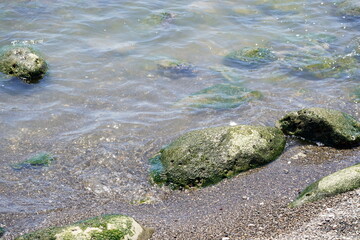 苔のような緑色の藻に覆われた岩が海岸の波打ち際にある様子をクローズアップで捉えた夏の水辺の静かな風景写真です