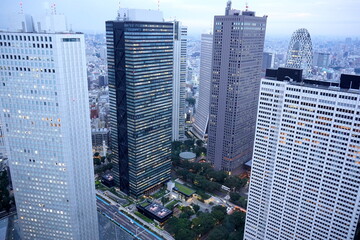Obraz premium 高層ビルがそびえ立つ大都会のスカイラインを捉えた広角の写真で近代的な建築群とその間にわずかに見える緑地が印象的です