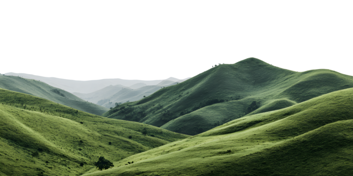 Serene green rolling hills bathed in soft natural light create a peaceful natural landscape for tranquil escapes and mindful moments.