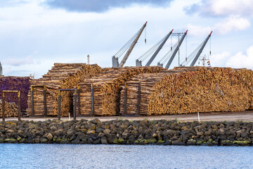 Large stacks of processed timber logs neatly piled at a commercial shipping port. Cranes in background indicate loading and export operations. Forestry and timber industry in regional Australia.
