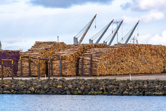 Large stacks of processed timber logs neatly piled at a commercial shipping port. Cranes in background indicate loading and export operations. Forestry and timber industry in regional Australia.