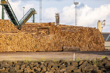 Large stacks of cut timber logs stored at a port facility, prepared for export, with industrial...