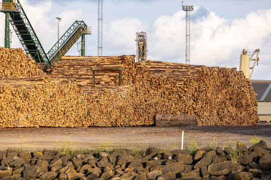 Large stacks of cut timber logs stored at a port facility, prepared for export, with industrial machinery and loading structures. Timber production industry, logging supply chain in Australia.