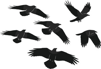 Flying black raven silhouettes vector illustration, spooky crow birds in flight set for Halloween, horror, or dark mystery design decoration