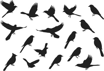 Flying and perched bird silhouettes collection isolated on white background, wildlife vector illustration design, nature animal shapes, freedom and flight concept