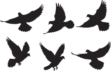 Flying birds silhouettes set, black dove vector collection, isolated pigeon flight poses, wildlife illustration design, freedom and peace concept, nature art