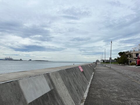 淡水川の堤防