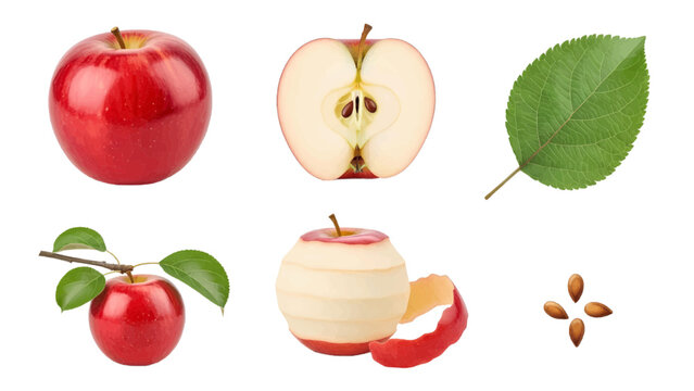 Vector illustration&nbsp;of collection of red apples, one sliced, one peeled, and apple seeds on a white background