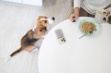 Woman sitting at table eating while beagle dog waits patiently next to her.